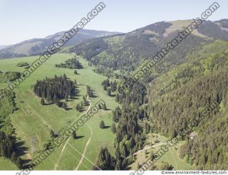 background nature forest High Tatras 0018
